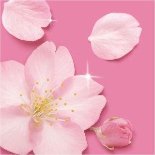 Mr.Propre Blossom Spray Multifunkcyjny 500 ml