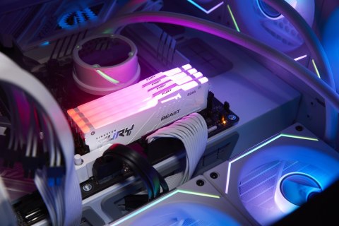 Kingston FURY DDR5 32GB (1x32GB) 5600MHz CL40 Beast White RGB