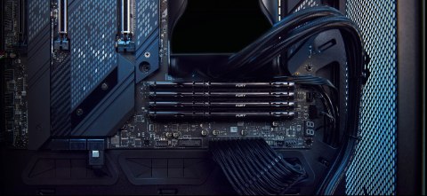 Kingston FURY DDR5 8GB (1x8GB) 5600MHz CL36 Beast Black EXPO