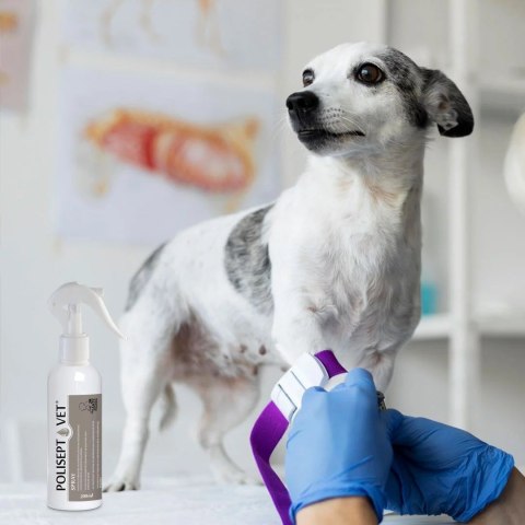 JM SANTE POLISEPT VET SPRAY do pielęgnacji ran 200ml