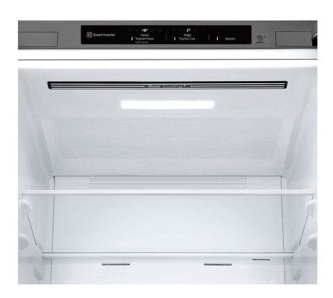 Lodówka LG GBV3100EPY