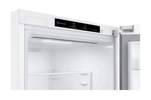 Lodówka LG GBV3200DSW