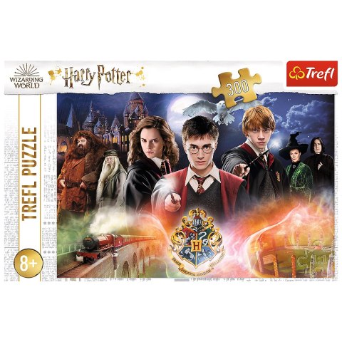 Puzzle Harry Potter 300 el. Tajemniczy Harry Potter 23001