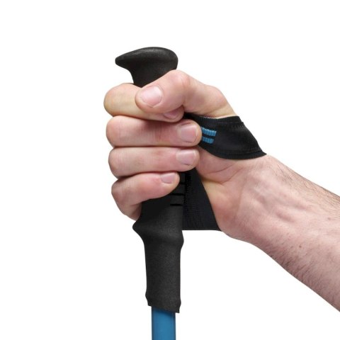 Kije trekkingowe Black Diamond DISTANCE CARBON FLZ POLES 125-140 cm