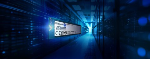 Dysk SSD Kingston DC2000B 960GB M.2 2280 (DWDP 0.4) SEDC2000BM8/960G