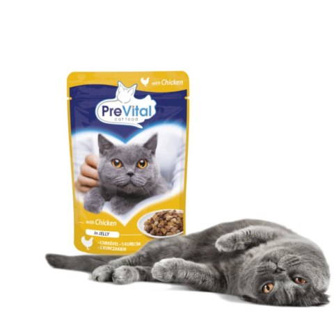 PREVITAL kurczak w galaretce dla kotów 100g