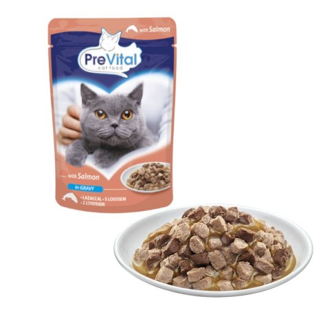 PREVITAL łosoś w sosie dla kotów 100g