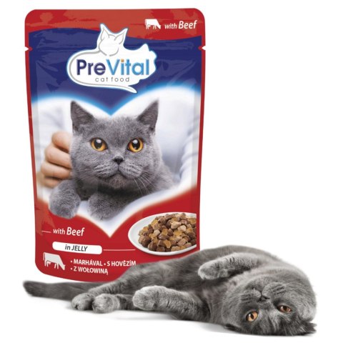 PREVITAL wołowina w galaretce dla kotów 100g
