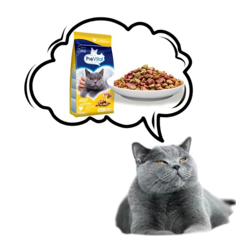 PREVITAL - Z kurczakiem - Pełnoporcjowa karma dla dorosłych kotów - karma sucha - 1,4kg
