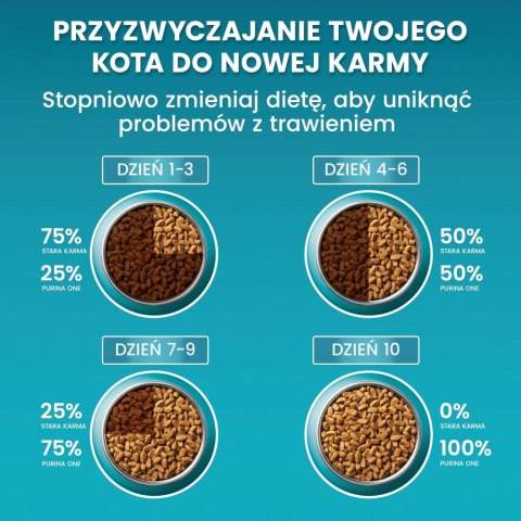 PURINA One Bifensis Adult Bogata w Kurczaka i Pełne Ziarna - sucha karma dla kota - 800 g
