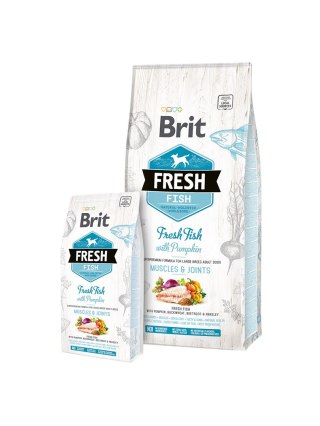 BRIT Fresh Fish & Pumpkin Adult Large muscles & joints 12kg (WYPRZEDAŻ)