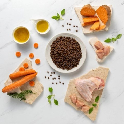 VetExpert Raw Paleo Ultra Indyk Mini Puppy 8kg (WYPRZEDAŻ)