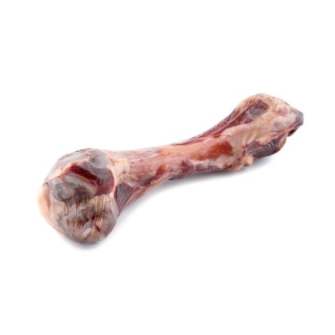 MACED kość z szynki parmeńskiej - przysmak dla psa - 1 szt.