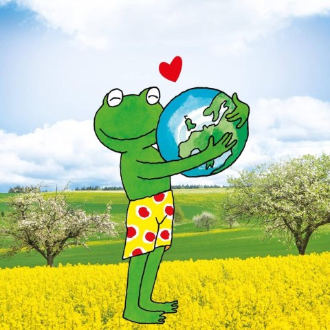 Frosch Citrus Proszek do Prania 1,45 kg